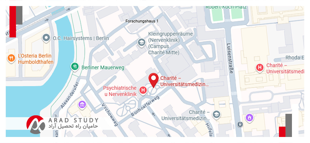 دانشگاه شاریته برلین